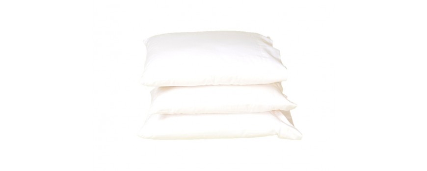 Organic Wool Pillows
