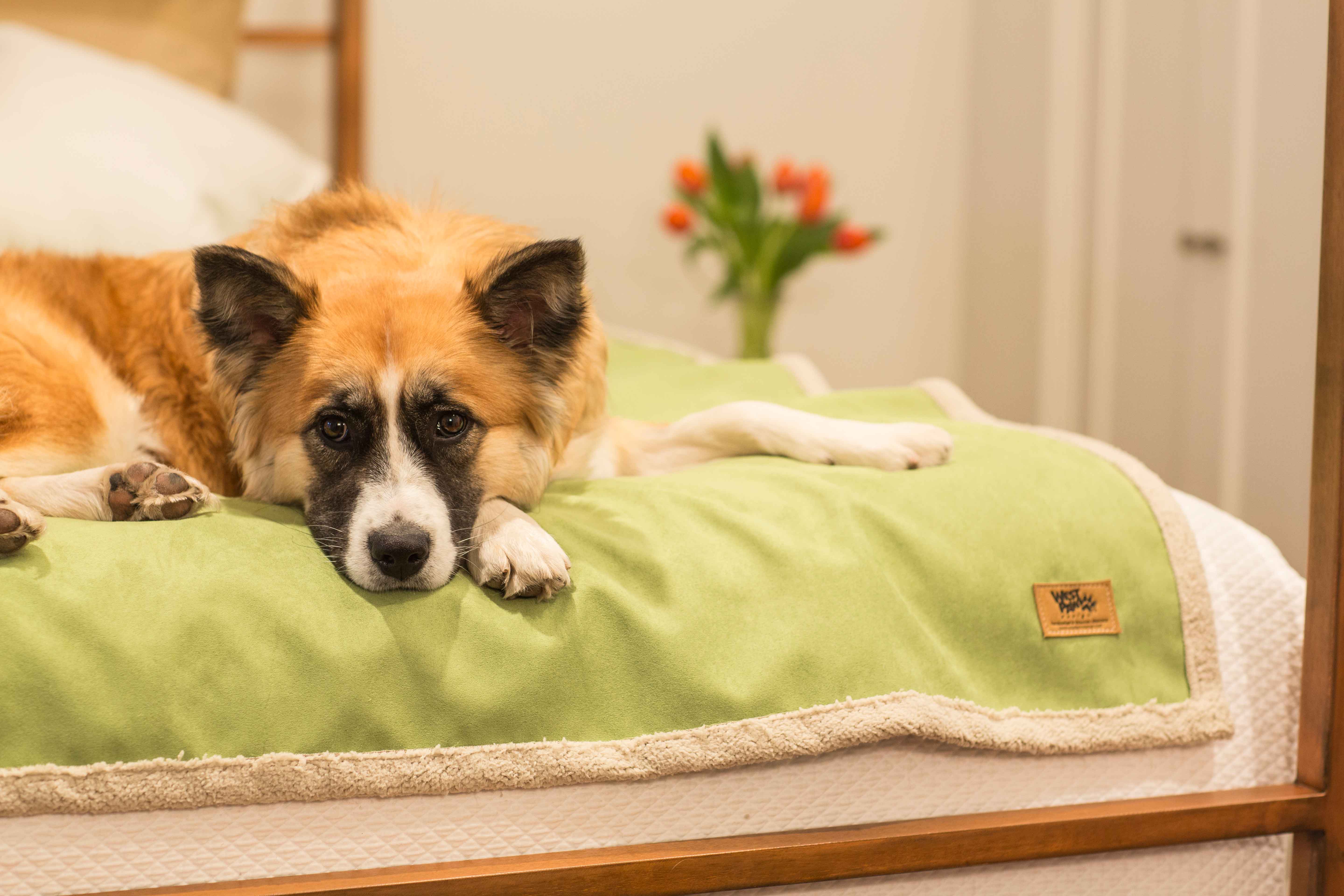 Natural Healthy Bedroom